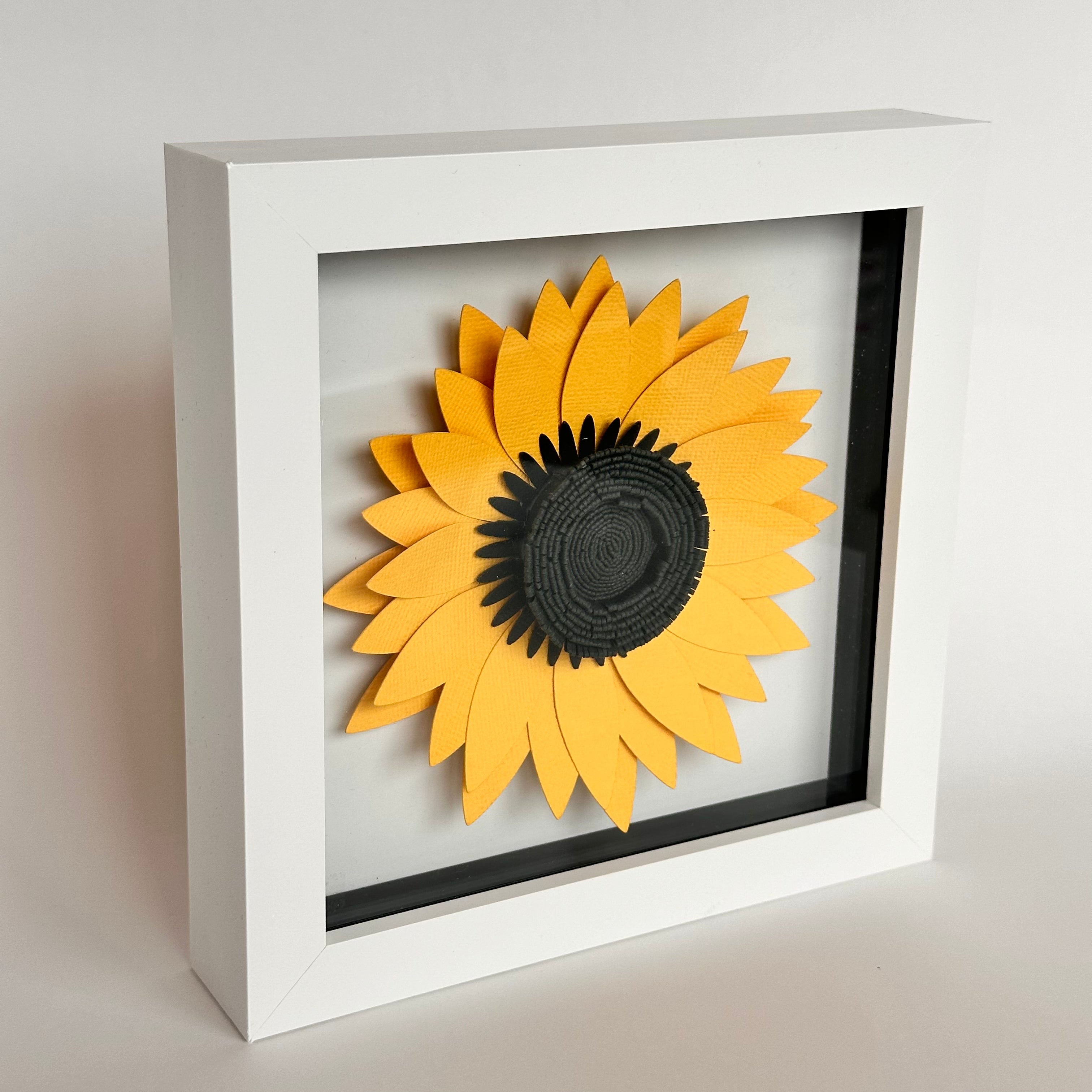 Shadow Boxes & Frames