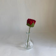 Single Stem Rose- "Enya"
